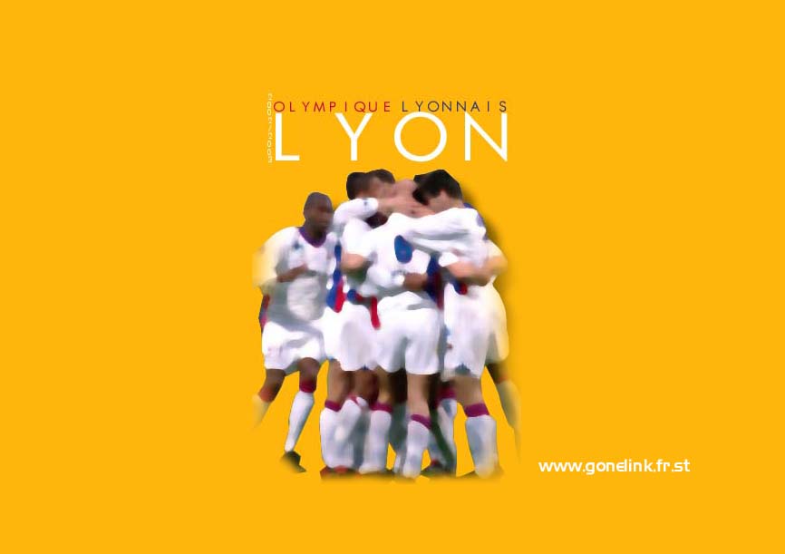 papier peint lyon GL.jpg